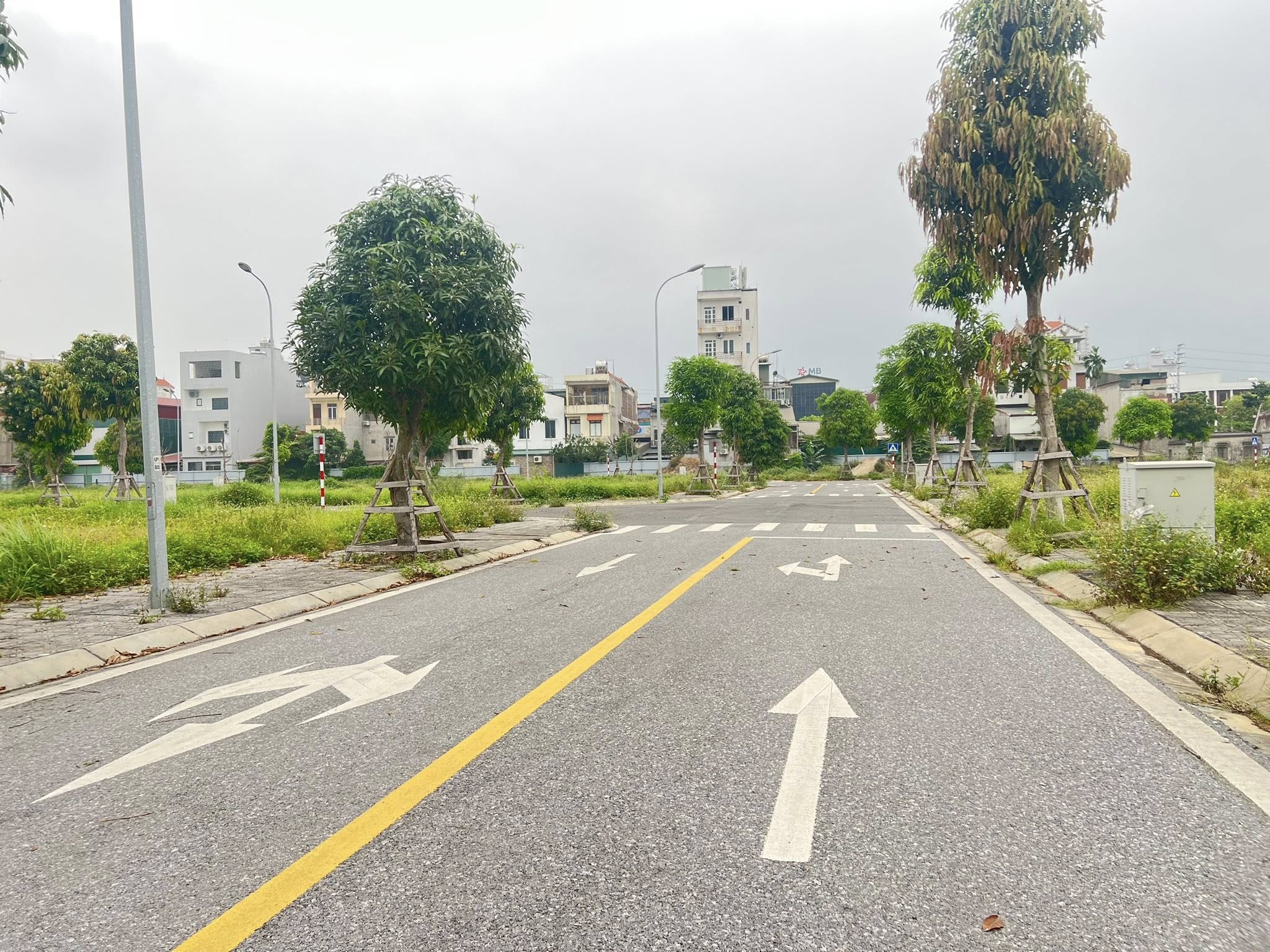Bán lô đất mặt phố Trái Bầu, Lê Thanh Nghị, diện tích 69.75m2, ngang 4.5m, đường 13.5m