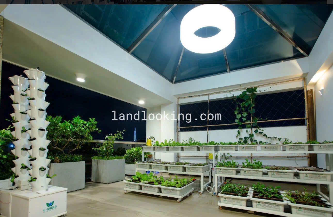 Chuẩn sống Resort tại gia, biệt thự Mini ngay Phan Văn Trị, Bình Thạnh 8m x 13m