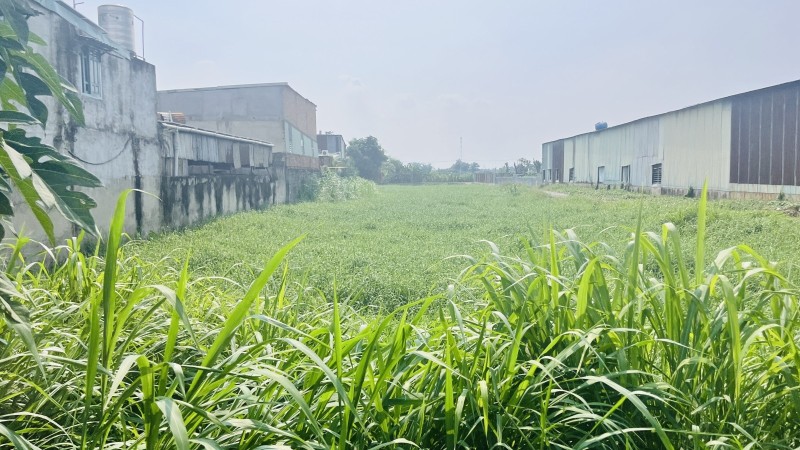 bán lô đất 1000m2, đường Đông Thạnh 7, giá chỉ 10,9 tỷ, làm kho xưởng, đầu tư