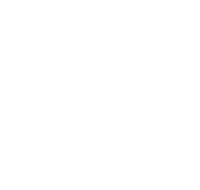 logo-diamond-white.png