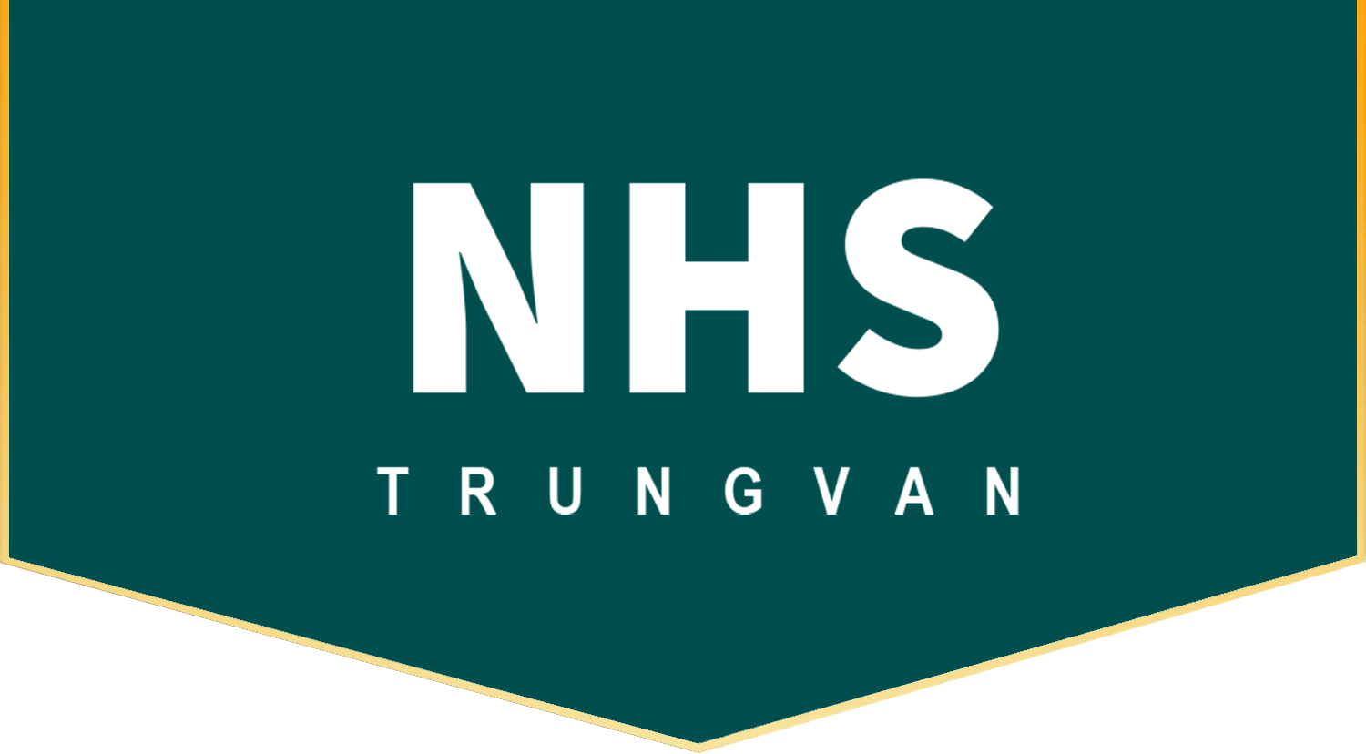 nhs-trung-van-logo-min-min.png