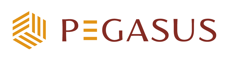 logo-pegasus-plaza-01-1-e1634866987982.png