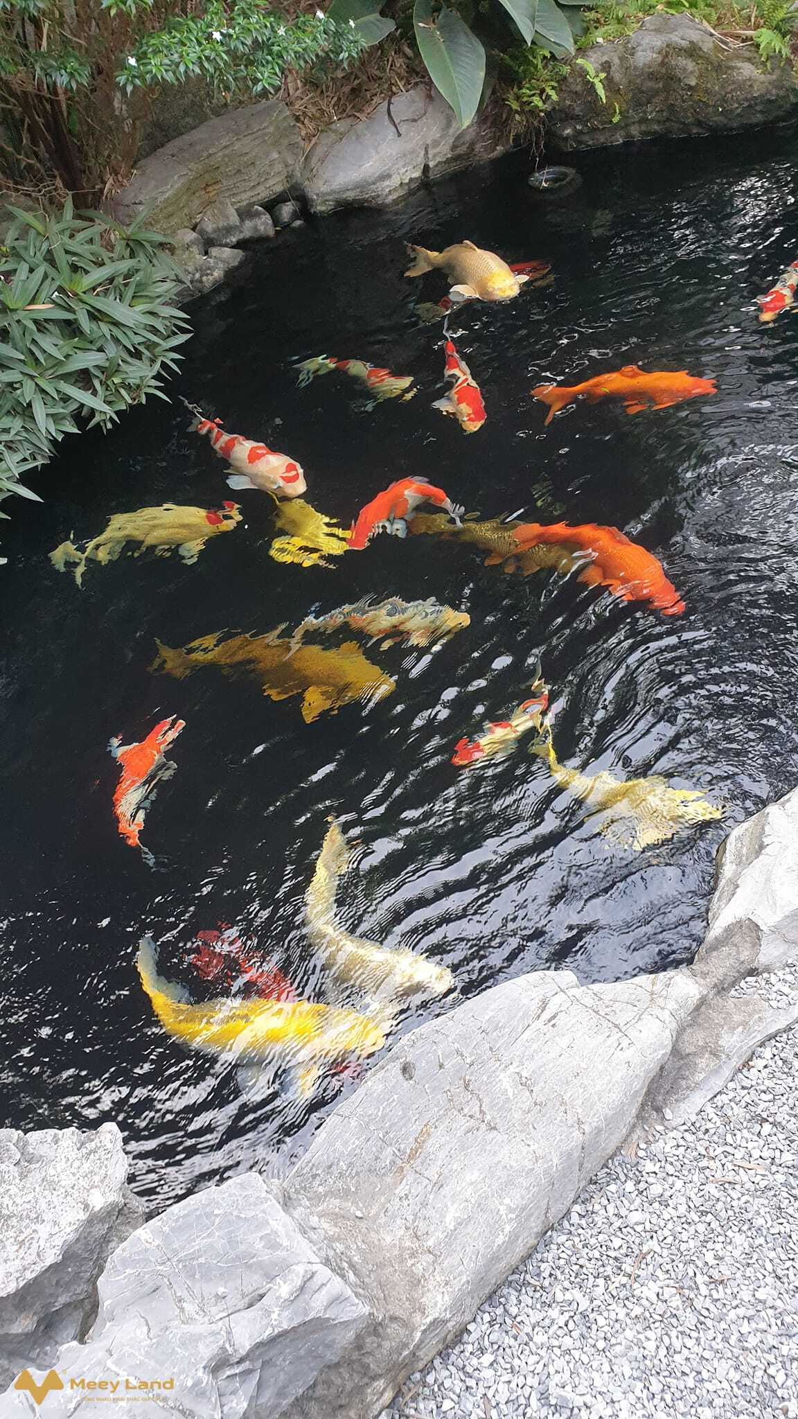 Biệt thự Ciputra, khu víp nhất, hoàn thiện đẹp long lanh, tầm view triệu đô