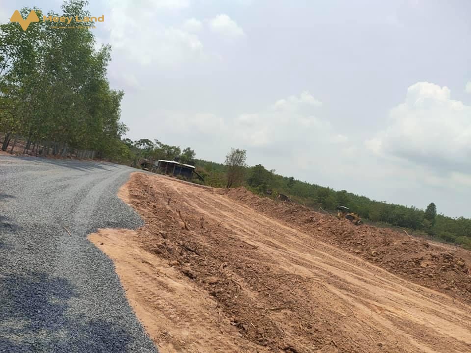 Cần bán một số lô đất Phước Bình - Long Thành, giá chỉ 1,2 triệu/m2 đến 3,5 triệu/m2. Vị trí đẹp, giá tốt