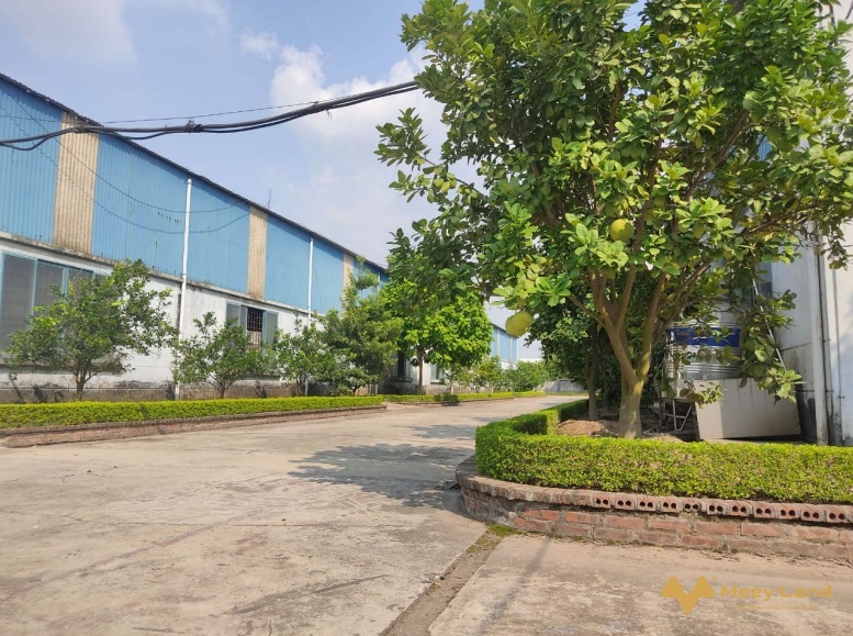 Chuyển nhượng nhà máy Phố Nối, Hưng Yên, mặt đường Quốc lộ 5, cách Hà Nội 30km