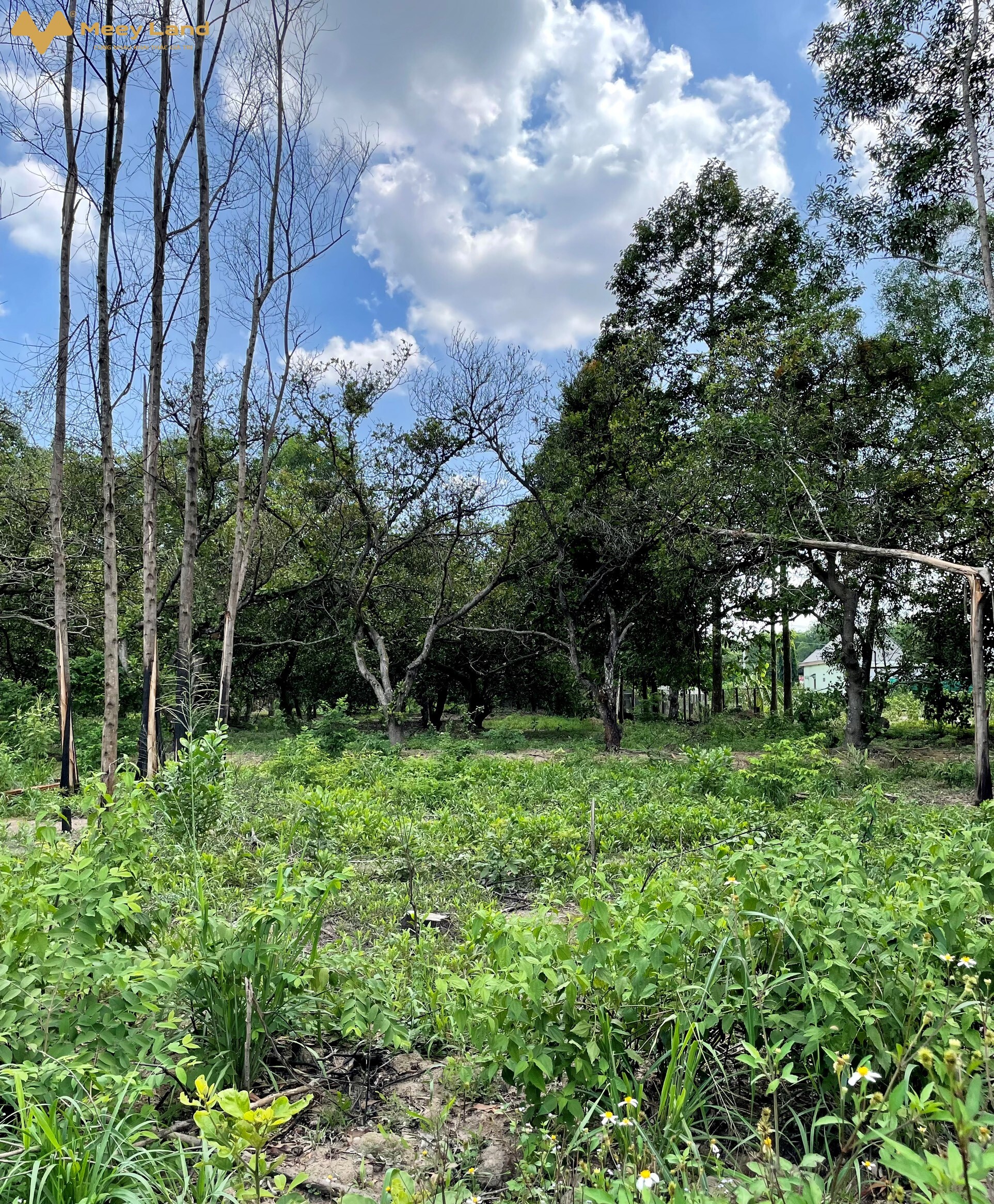 Ngộp, bán 2 lô đất liền kề ngay vòng xoay Võ Nguyên Giáp, Tam Phước