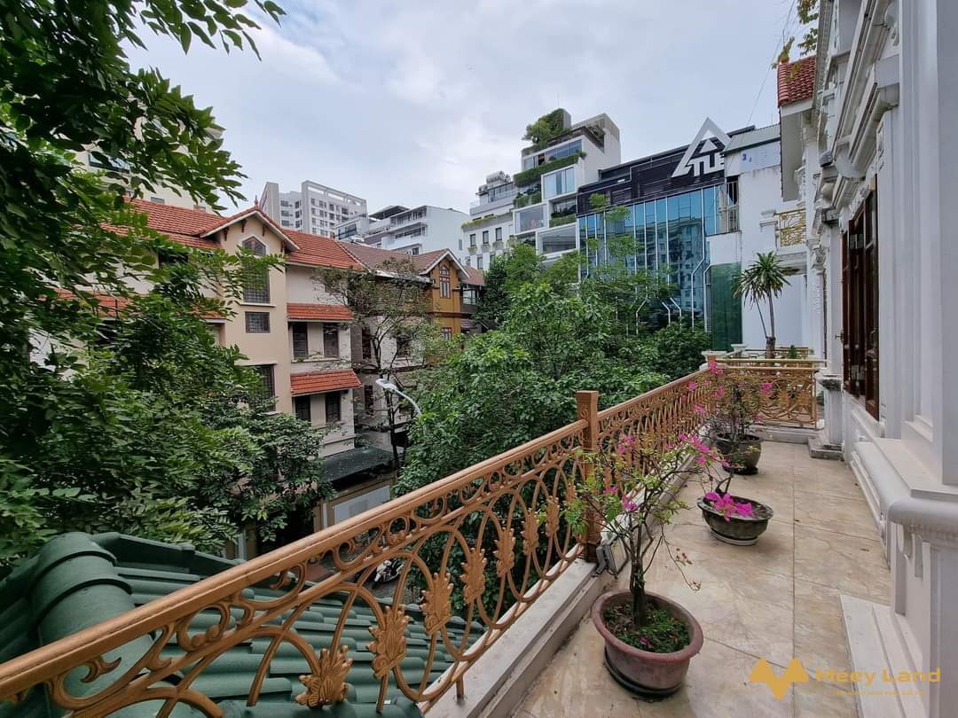 Bán Biệt thự Trần Thái Tông, Cầu Giấy, 220m x 4 tầng