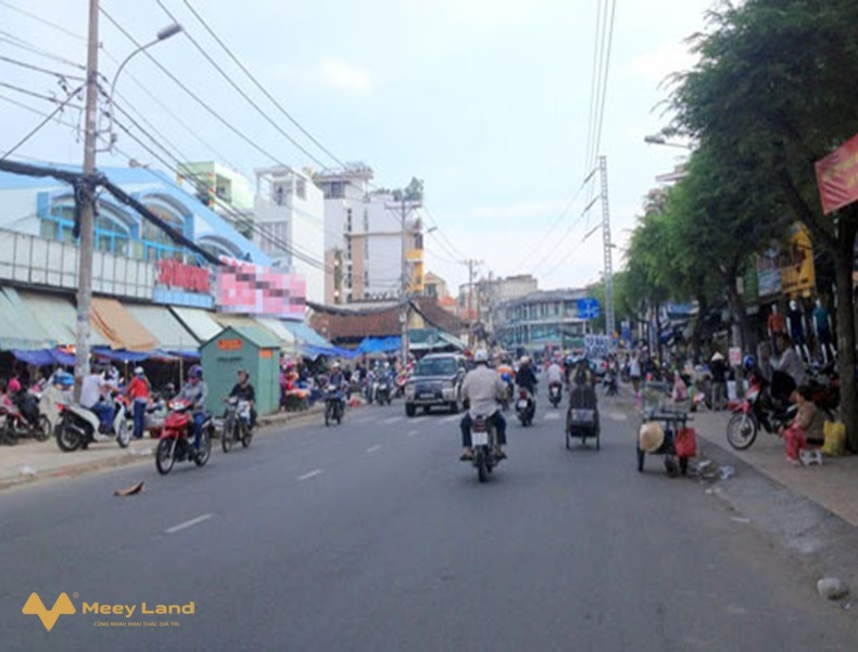 Bán nhà mặt tiền kinh doanh đường Minh Phụng, phường 6, quận 6, 220m2, ngang 8m, giá cực rẻ