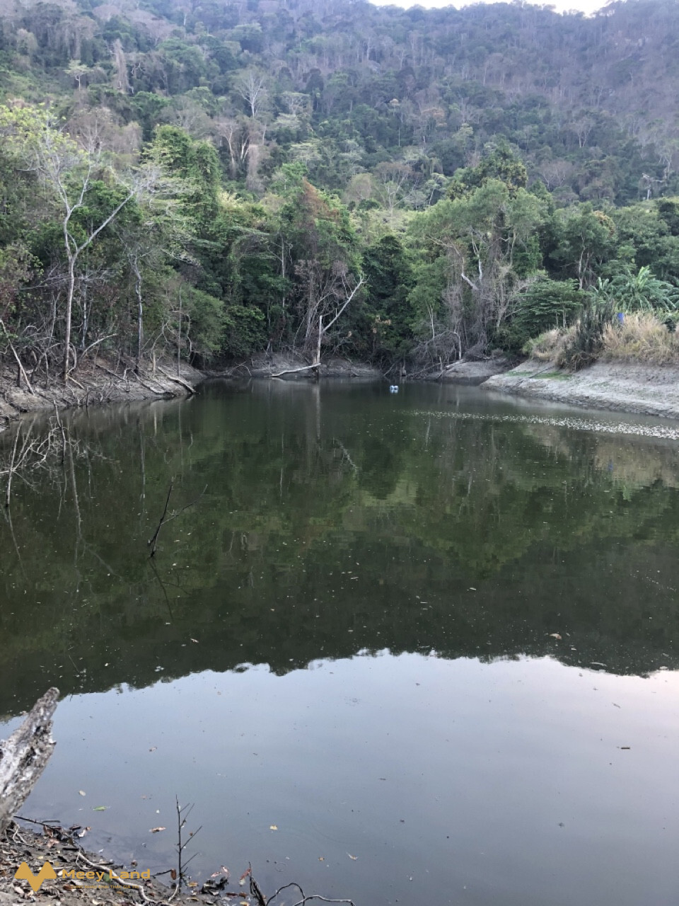 Bán vườn Thanh Long, đường 719, Hàm Minh, Hàm Thuận Nam, Bình Thuận