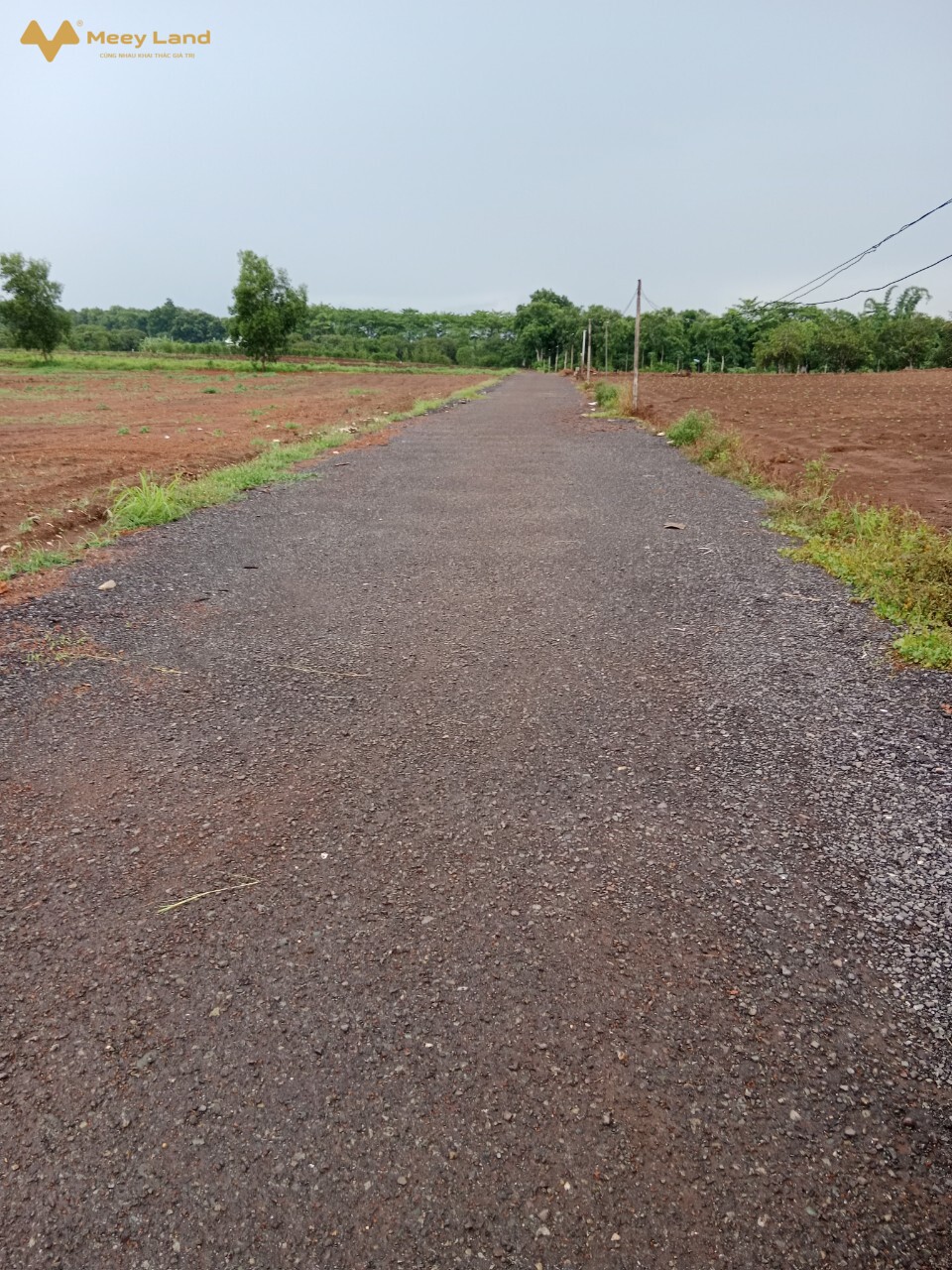 Bán đất đường ven, Suối Quýt, Cẩm Đường, Long Thành, Đồng Nai