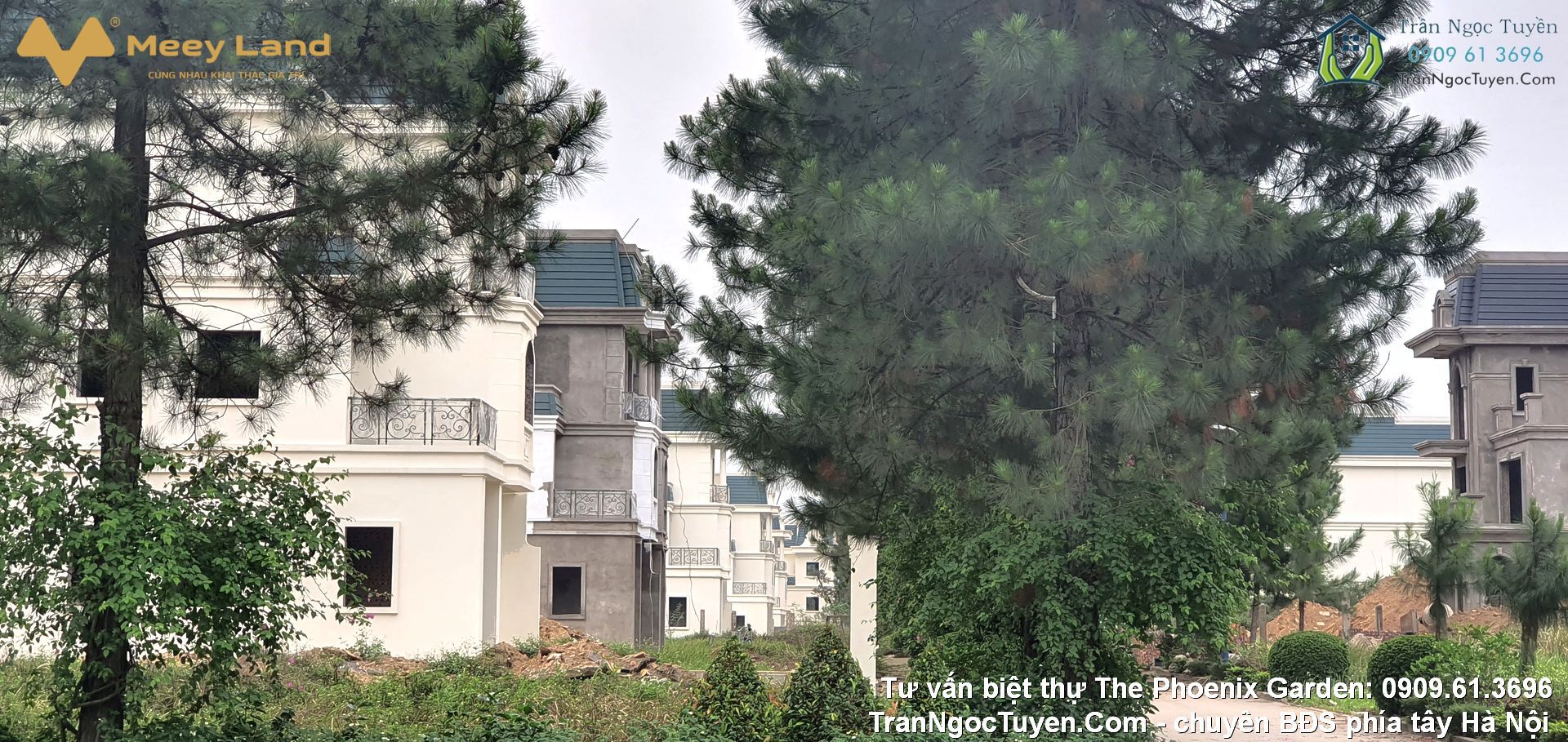 Cập nhật Biệt thự The Phoenix Garden và giá bất động sản phía Tây Hà Nội